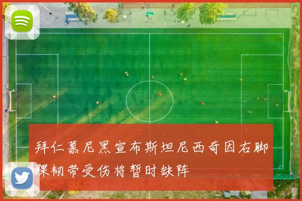 拜仁慕尼黑宣布斯坦尼西奇因右脚踝韧带受伤将暂时缺阵